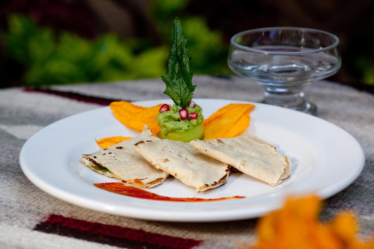 Casa De Las Bugambilias B&B Oaxaca Εξωτερικό φωτογραφία
